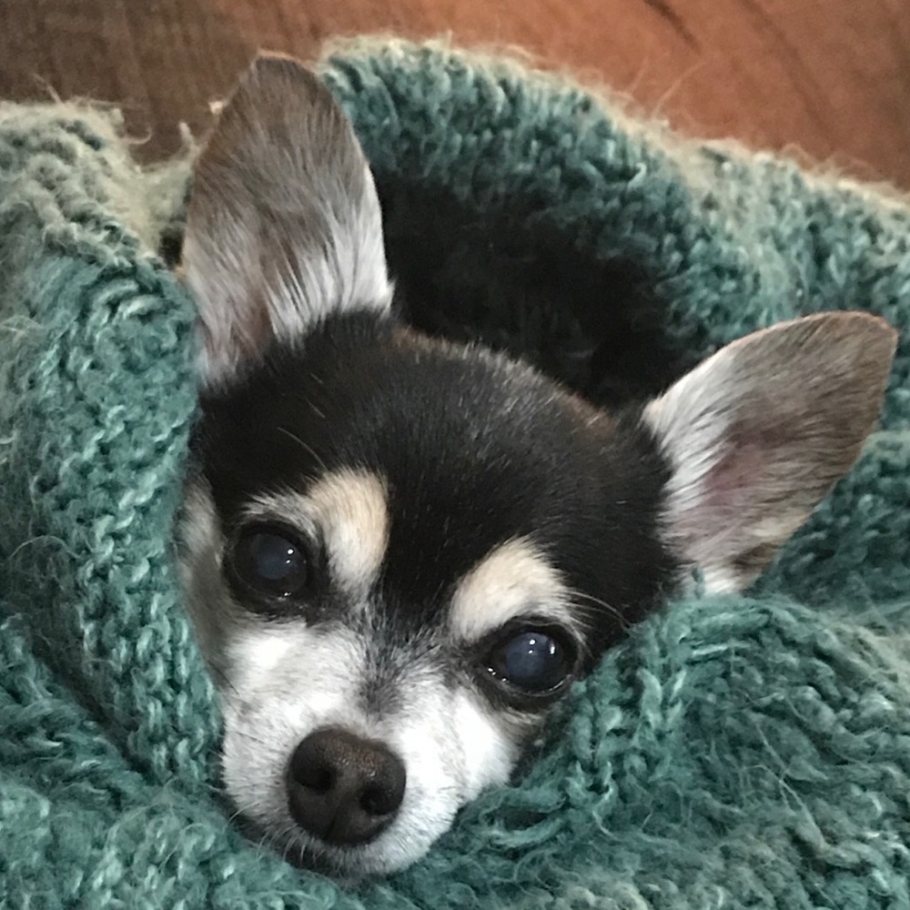 Meet your Posher, Michele